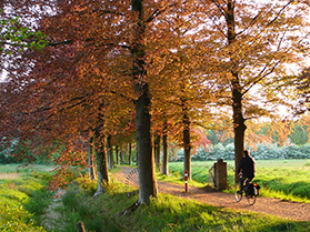 Fietsroute met fietser Assen die Arthuur fietsroute Drenthe fi