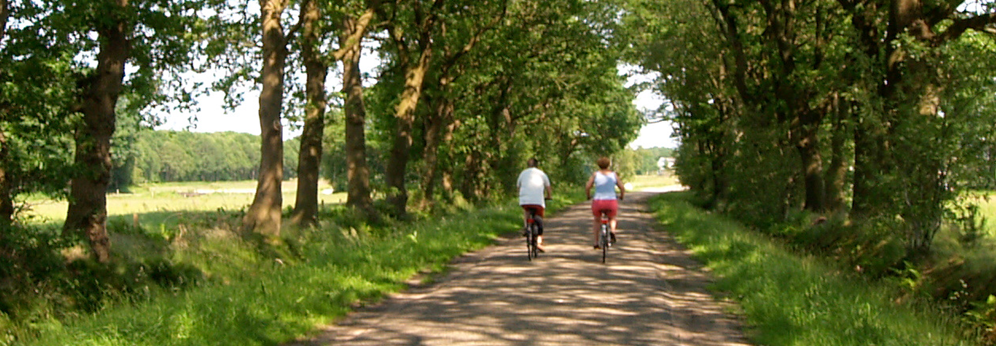 Fietsroute met fietsers platteland die Arthuur fietsroute fietsen.