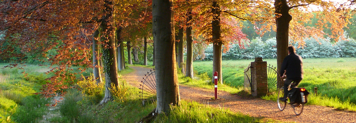 Fietsroute met fietser Assen die Arthuur fietsroute Drenthe fietst